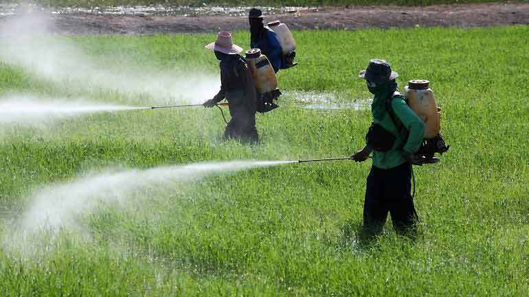 Spraying pesticides, insecticides, & herbicides that are literally poisoning the dirt.