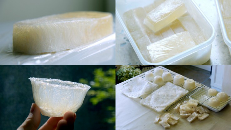 Agar (Seaweed) Plastic