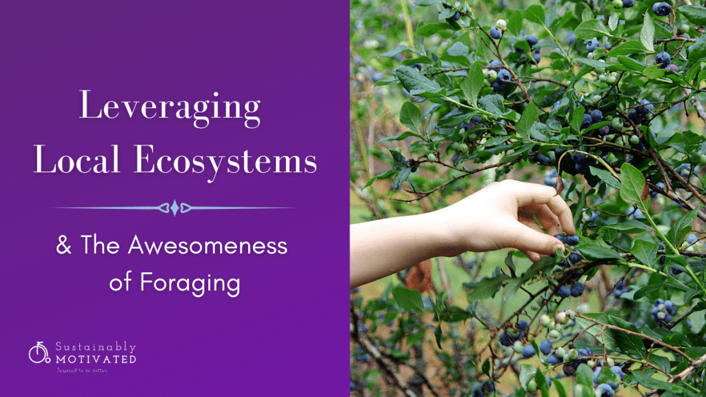 Leveraging Local Ecosystems & The Awesomeness of Foraging