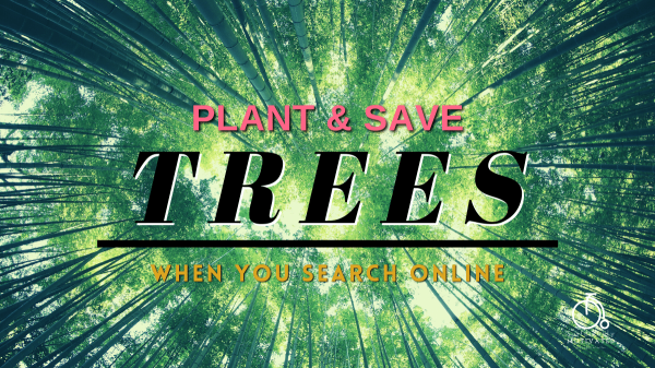 Ecosia - The Greener Search Engine