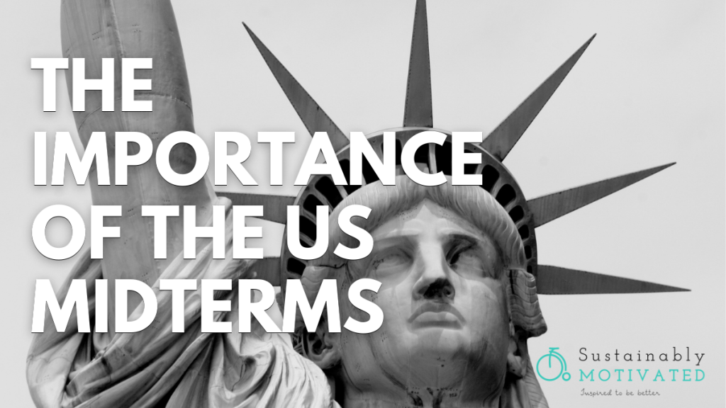 The Importance of the US Midterms
