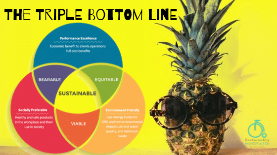 The Triple Bottom Line: incorporating all 3 metrics (People, Planet, & Profit). 