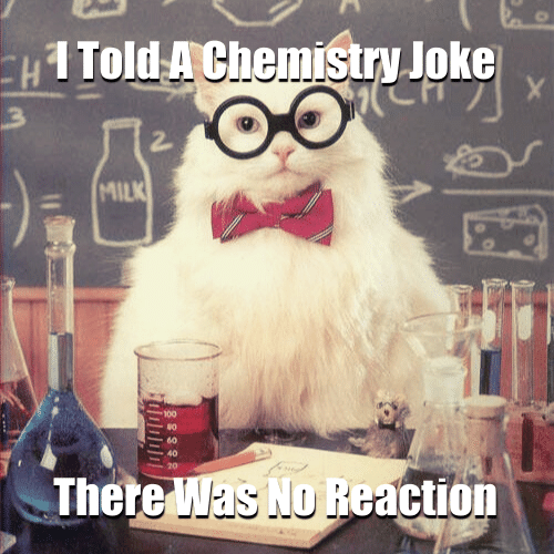 Science cat meme: I told a chemistry joke, there was no reaction.