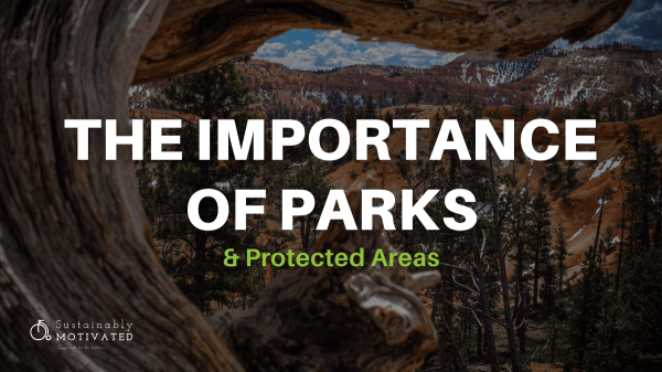 The Importance Of Parks & Protected Areas