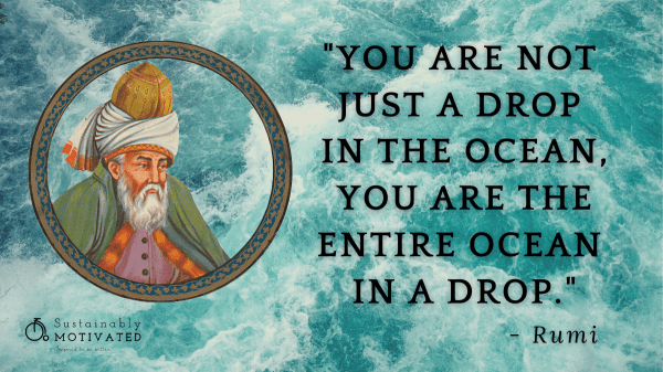 Rumi Quote, "You are not just a drop in the ocean, you are the entire ocean in a drop."