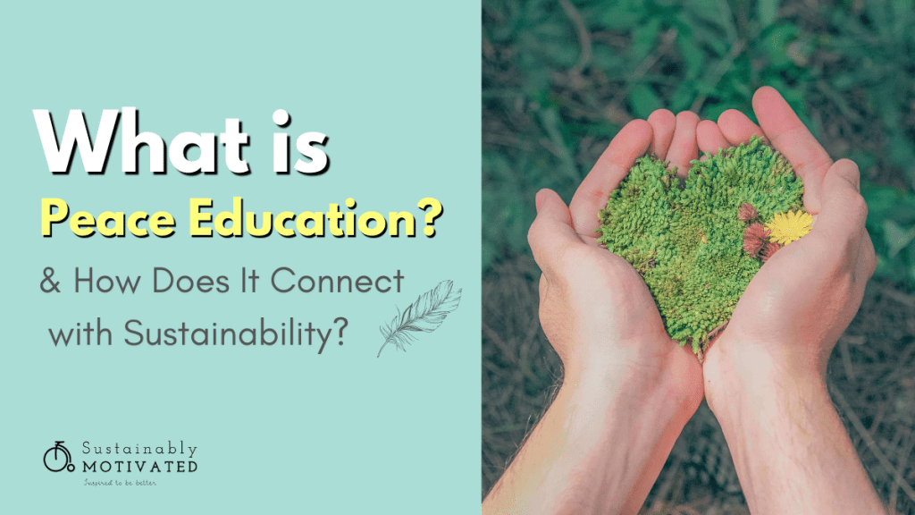 What Is Peace Education? & How Does It Connect With Sustainability?