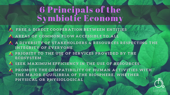 6 Principals of the Symbiotic Economy