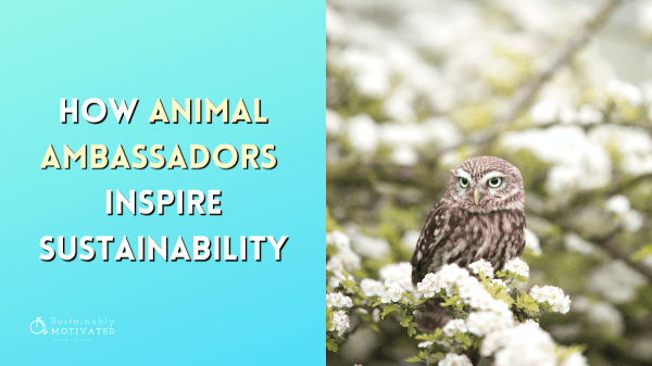 How Animal Ambassadors Inspire Sustainability