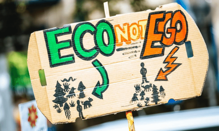 "Eco Not Ego" - Consider adding political activism to your sustainability resolutions.