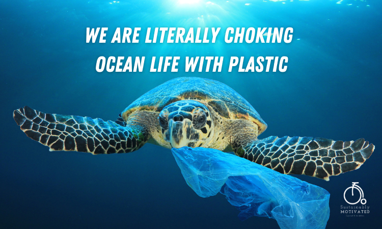 Ocean turtles can mistake a plastic bag for jellyfish and choke to death.
