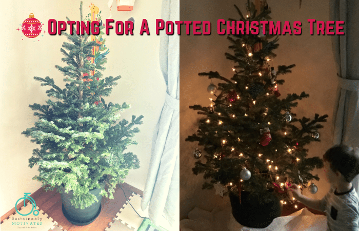 Opting for a potted Christmas tree is a great sustainable alternative.