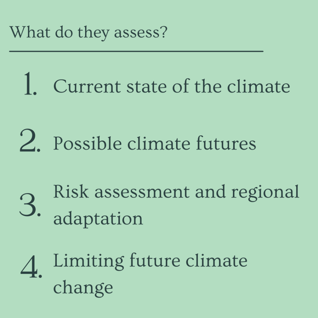 What's in the IPCC assesment report?