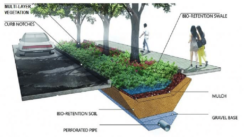 An excellent example of blue infrastructure, bioswales help to prevent flooding by absorbing and managing stormwater runoff.