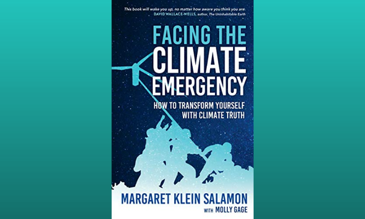 Facing The Climate Emergency by Margaret Klein Salamon