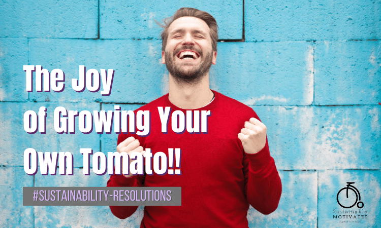 There is immense joy in simply growing your own tomato. So many potential sustainability resolutions!