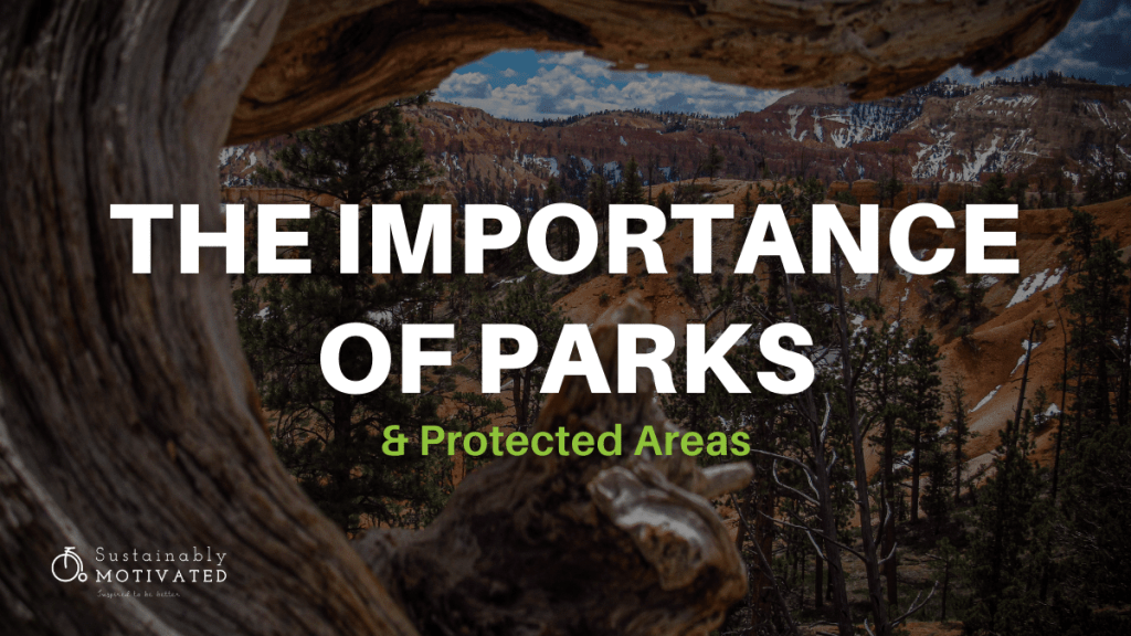 The Importance Of Parks & Protected Areas
