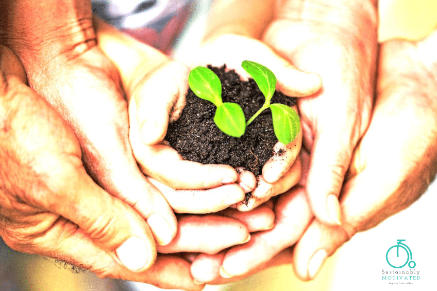3 generations holding a sapling.