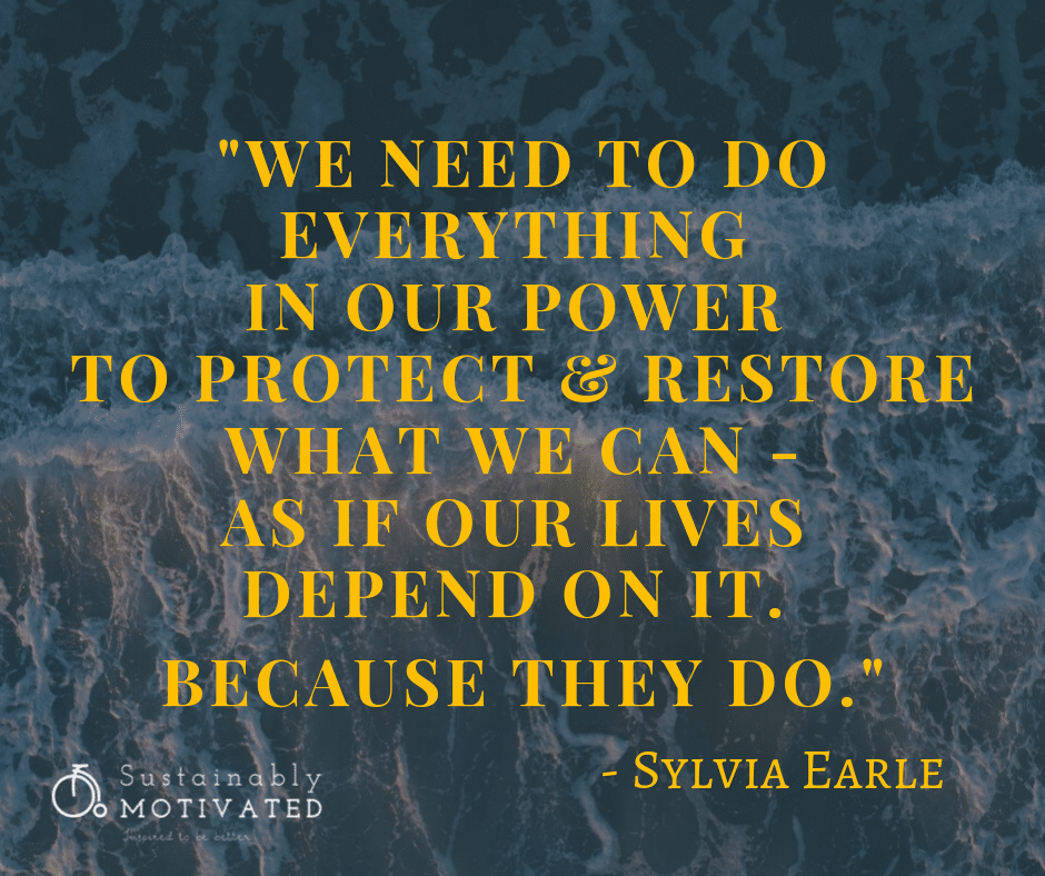 Sylvia Earle Quote