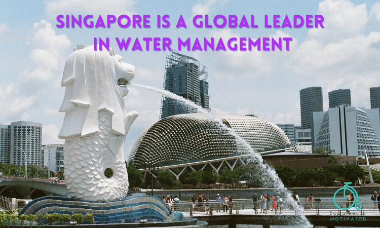 Image of Singapore Merlion. 