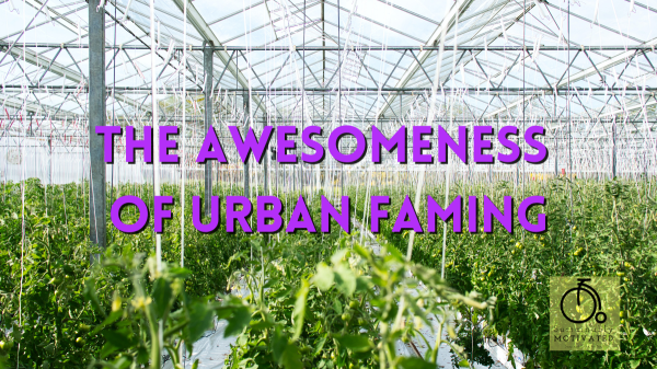 Urban Farming in Montreal