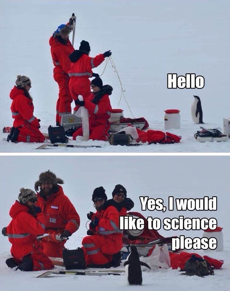 Penguin wanting to science