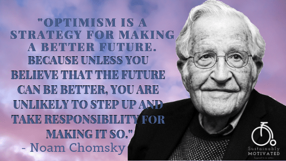 Chomsky Quote