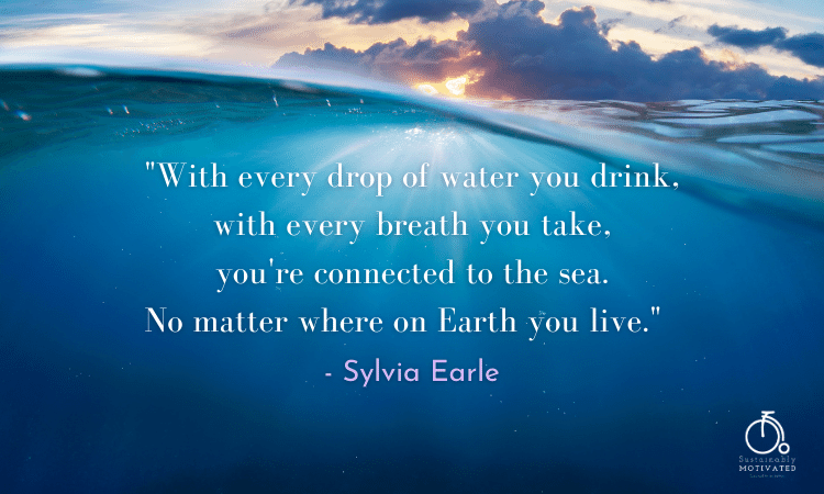Sylvia Earle quote, "With every drop of water you drink, with every breath you take, you're connected to the sea. No matter where on Earth you live."  
