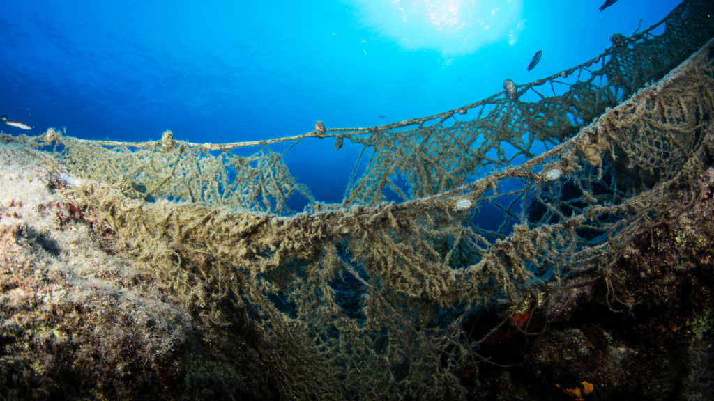Ghost gear has become one of the largest issues plaguing our oceans!