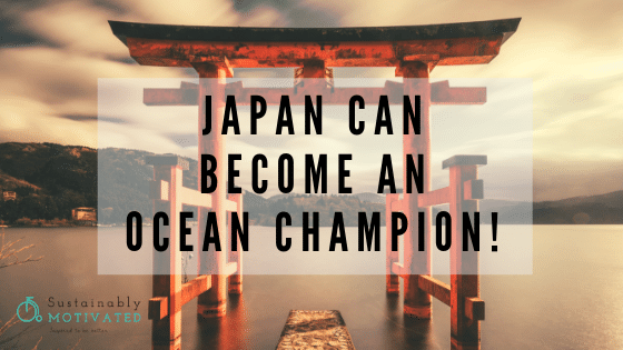 Japan Ocean Champion (3)